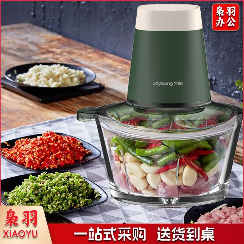 九阳 绞肉机家用电动多功能料理机搅拌切菜绞馅不锈钢双层刀S18-LA666(线下同款）