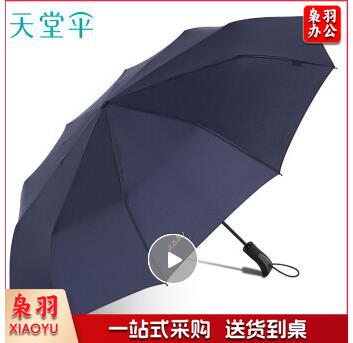 天堂伞 晴雨伞10骨加固一键开收易甩干简约全自动雨伞男女 藏青 58CM*10骨