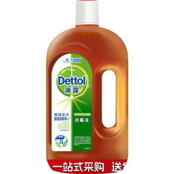 滴露消毒液250ml 1瓶