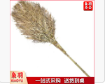竹扫帚 环卫大扫帚 扫马路笤帚
