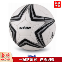 世达/star SB6304 4号球五人制足球4号小场地训练用球手缝耐磨比赛用球