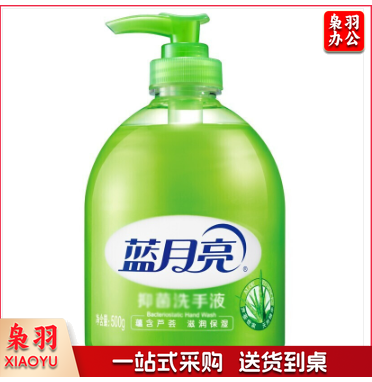 蓝月亮洗手液 芦荟洗手液抑菌洗手液500mL 洗手液