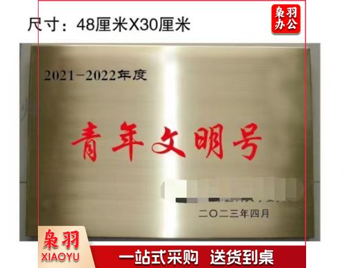 奖牌 门牌 青年文明号奖牌48*30cm 具体定制内容联系客服