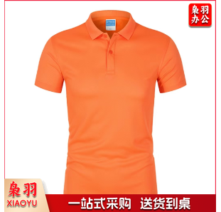 文化衫 T恤 POLO衫 半袖 可定制 具体定制内容联系客服