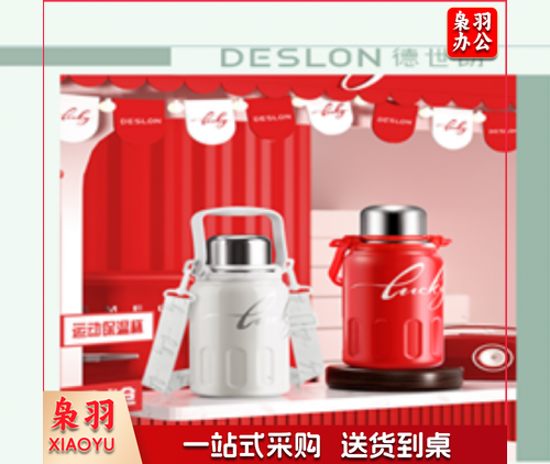 水壶  保温壶 德世朗把温水壶