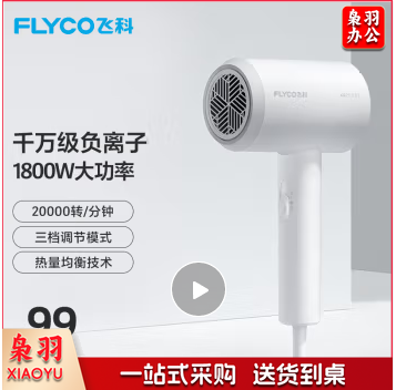 飞科 FLYCO 电吹风机宿舍用 柔风负离子恒温护发 家用冷热大风量快速干发吹风筒FH6290