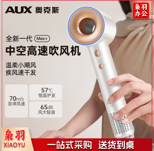 奥克斯（AUX）吹风机高速电吹风机家用大功率中空无叶吹风筒大风力速干负离子护发吹风机 AAB-16AG18