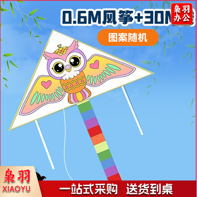手绘风筝手工diy材料包绘画涂鸦儿童卡通玩具春季户外出游活动（填色风筝【0.6m】+30m线）