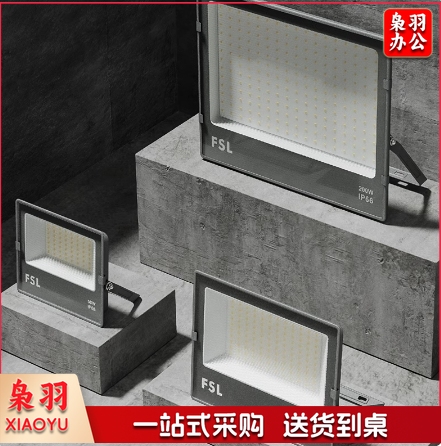 佛山FSL 投光灯 220V200W865K