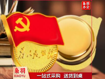 党徽徽章 加厚(磁吸) TJRR SFYJD202302080915406