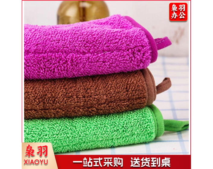 253清洁抹布加厚双层超细纤维珊瑚绒多功能清洁巾250*300mm颜色随机3条/包装