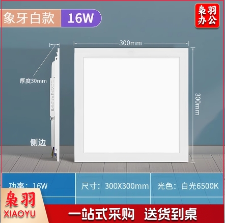 佛山FSL面板灯220V16W65K300*300