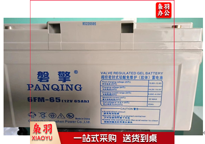 蓄电池6FM-65 (12V-65AH)
