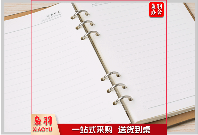 巨联(JULIAN) A5活页纸 可替换内芯 学习笔记本活页内芯