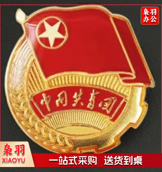 团徽徽章 加厚 标准型团徽 正版 背面带 共青团中央监制字样(别针款 磁扣款 可选)10个一套，整套出售