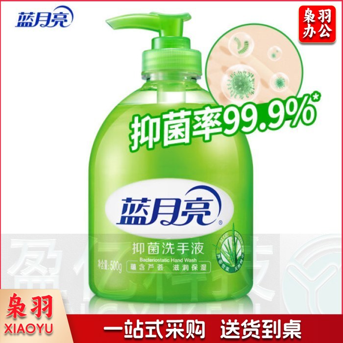 蓝月亮洗手液 芦荟抑菌 500g/瓶