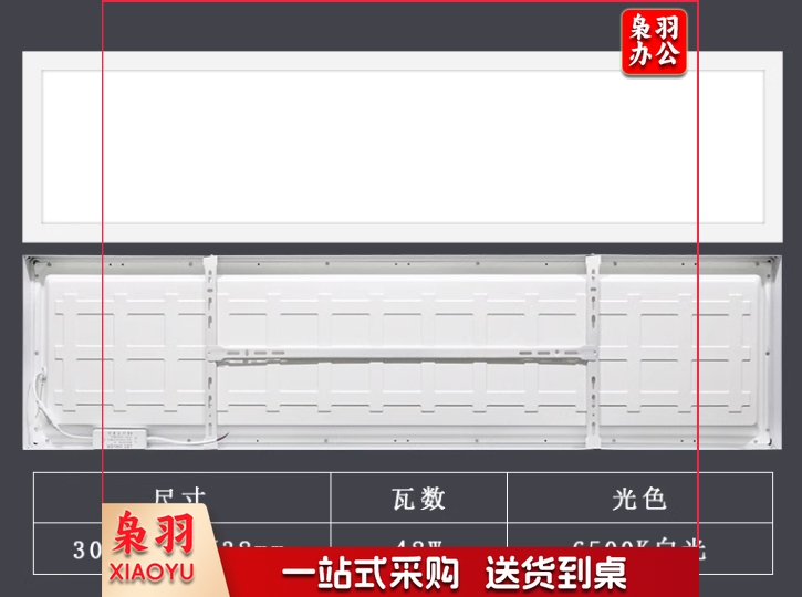 佛山FSL直发光面板灯220V48W6500K300*1200