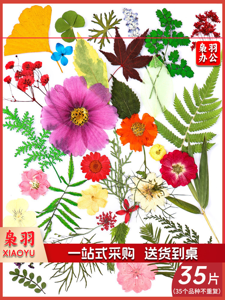 亚克力压花相框手工diy(春意盎然(干花包35片不重复))制作材料包干花植物标本框透明装饰绘画框