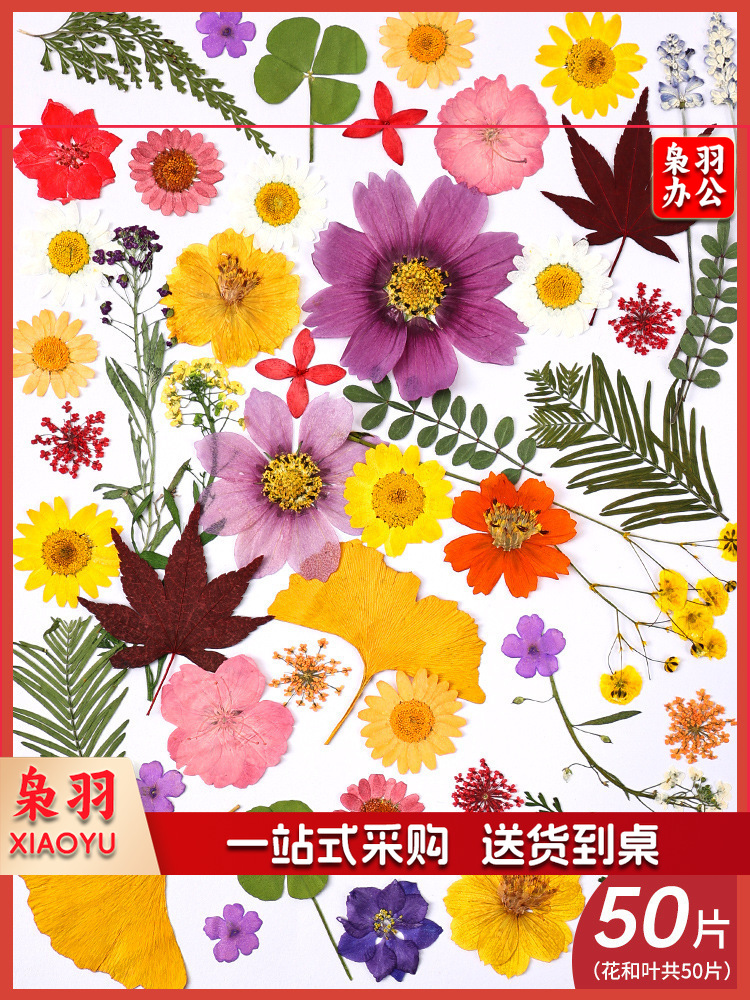 亚克力压花相框手工diy(夏花灿烂(干花包50片))制作材料包干花植物标本框透明装饰绘画框