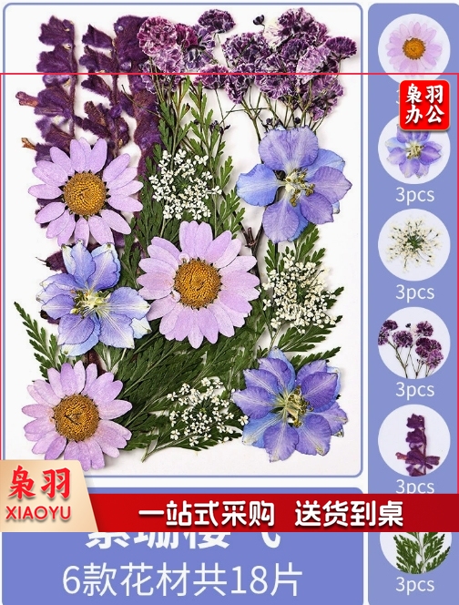 亚克力压花相框手工diy(紫珊樱飞(干花包18片))制作材料包干花植物标本框透明装饰绘画框