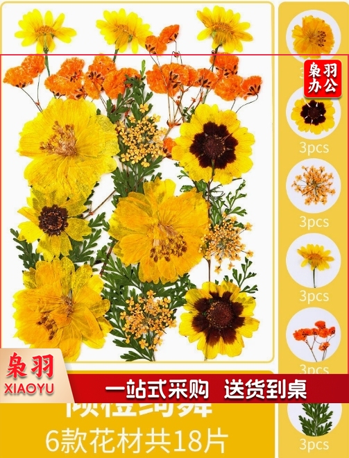 亚克力压花相框手工diy(倾橙绚舞(干花包18片))制作材料包干花植物标本框透明装饰绘画框