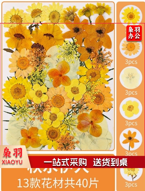 亚克力压花相框手工diy(倾橙绚舞(干花包18片))制作材料包干花植物标本框透明装饰绘画框
