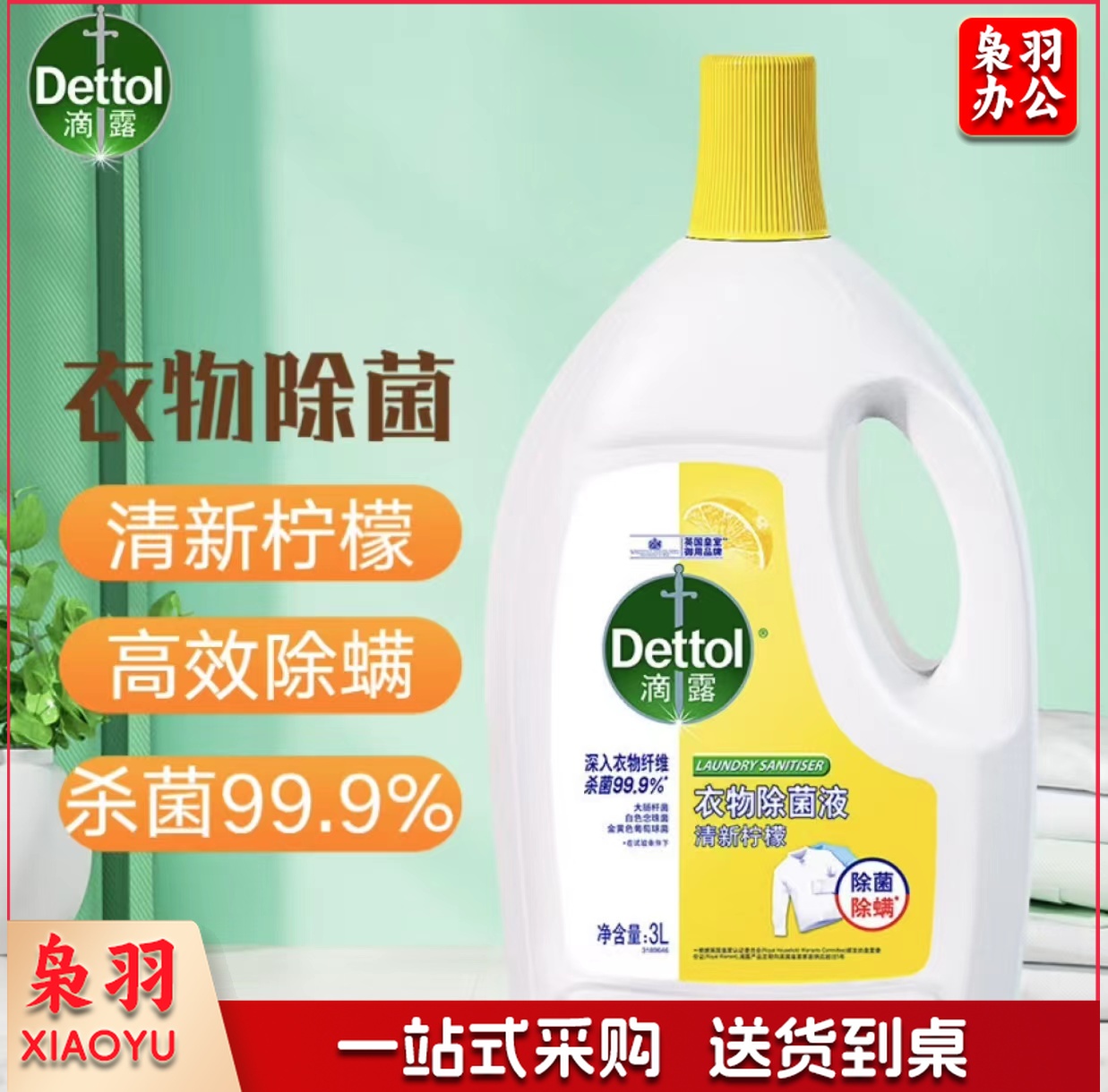 滴露(Dettol)衣物消毒液清新柠檬3L 衣物除菌液内衣高效除菌除螨 可配洗衣液用 (ID180)