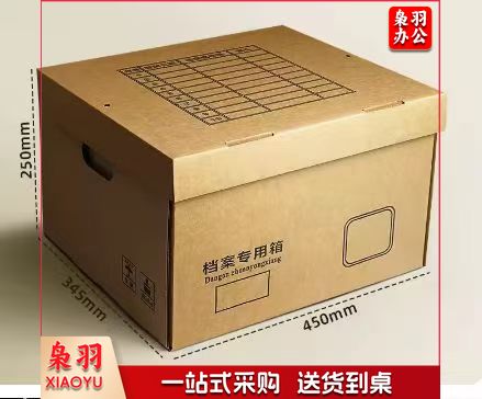 档案箱 /文件书籍整理收纳箱