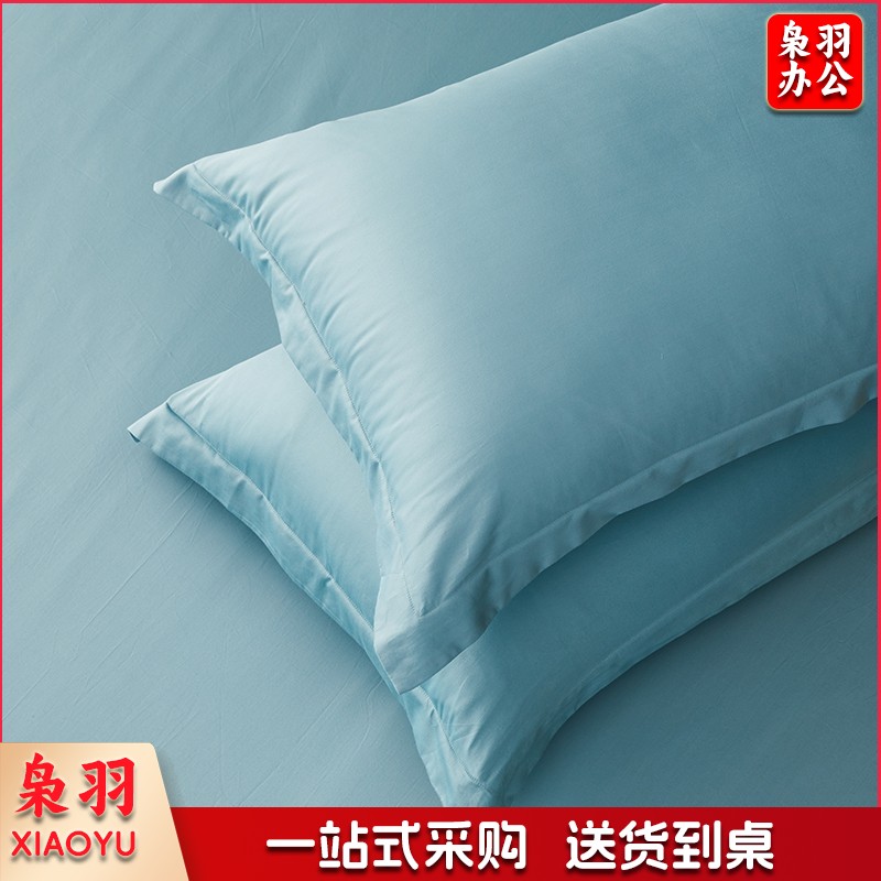 60支新疆长绒棉枕套全棉纯棉纯色成人枕套48*74cm枕套一对装 60支长绒棉枕套—冰川蓝