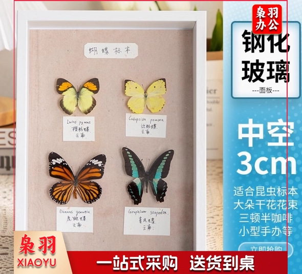 中空相框摆台手工昆虫标本盒立体展示框A/4寸(内径21*29.7cm)白色(中空3cm)