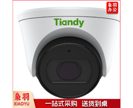 天地伟业（TIANDYTECH）400万像素级半球摄像机 TC-C55SN（台）