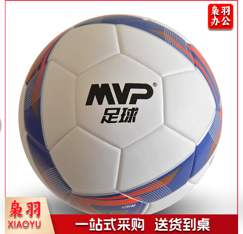体育中考专用5号足球
