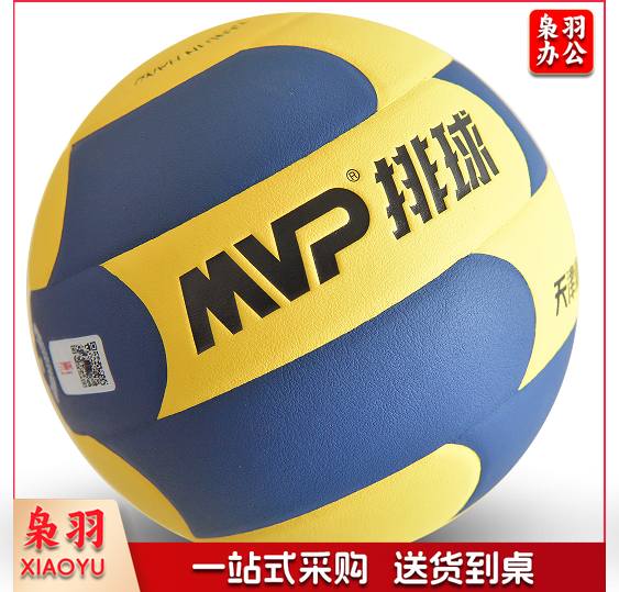 体育中考专用5号排球