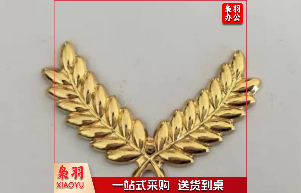 胸标定做金属胸标国旗班胸标