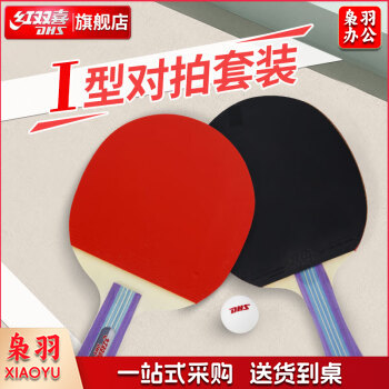 红双喜对拍家庭娱乐健身入门套装两拍一球乒乓球拍I型套拍