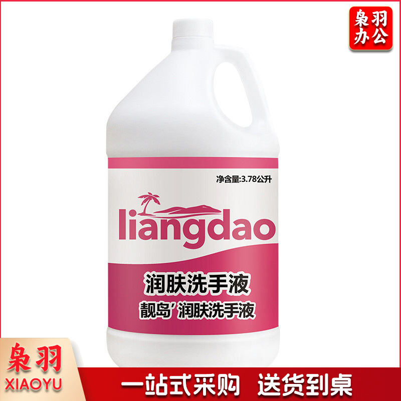 靓岛3.78L润肤抑菌洗手液大桶 温和去污不伤手清香型洗手液