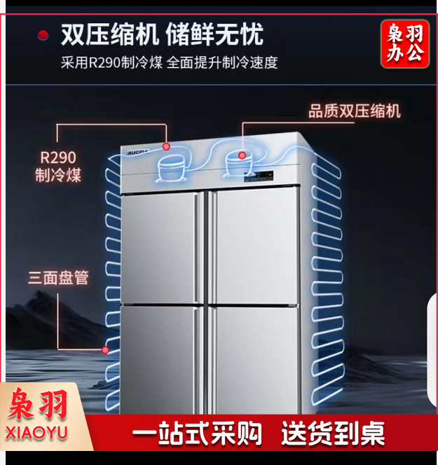 澳柯玛(AUCMA)四门冰箱商用冰柜立式冷冻柜六门冰箱大容量饭店食堂餐饮店后厨不锈钢厨房冰箱保鲜柜冷柜 标准款 双温900升