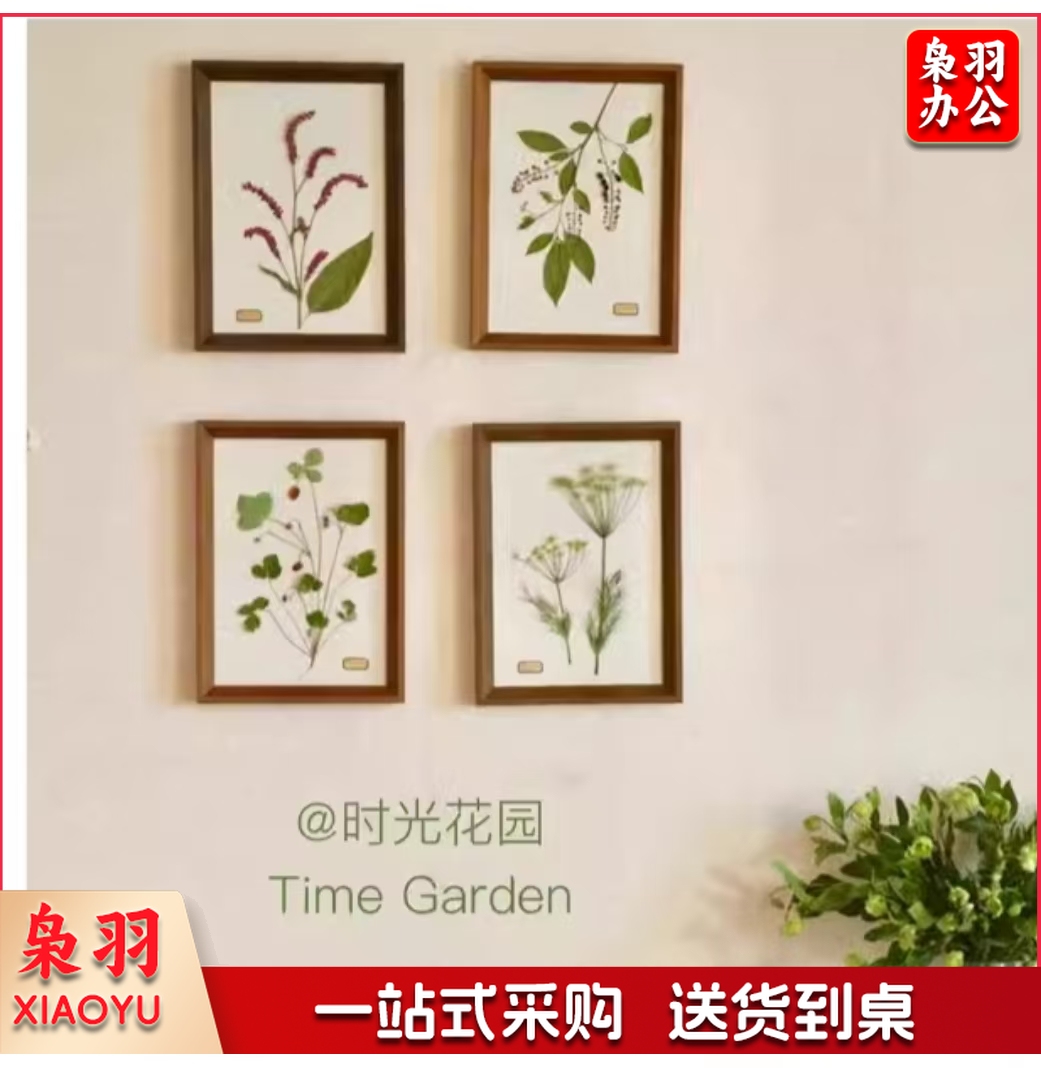 植物标本挂画