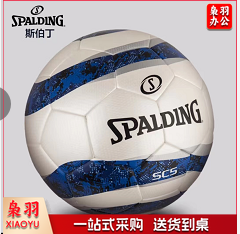 斯伯丁5号比赛足球