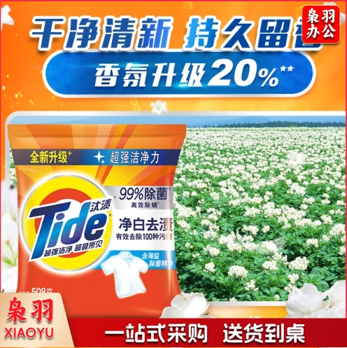 汰渍 洗衣粉净白去渍508克/袋