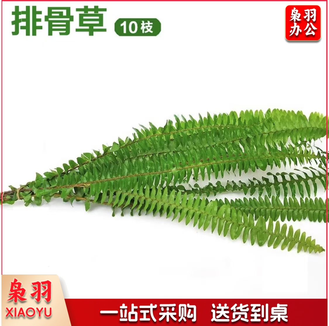 酒店西餐花草摆盘排骨草(10片/包 )