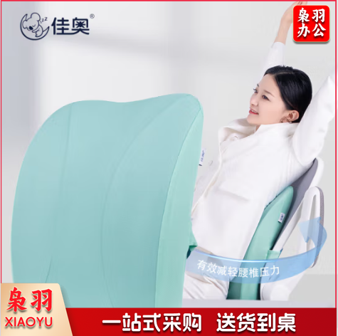 佳奥(JAGO) 薄荷蓝 腰靠办公室靠垫竹炭记忆棉汽车办公室靠背垫人体工学靠枕腰枕(JAGO) 薄荷蓝 腰靠办公室靠垫竹炭记忆棉汽车办公室靠背垫人体工学靠枕腰枕