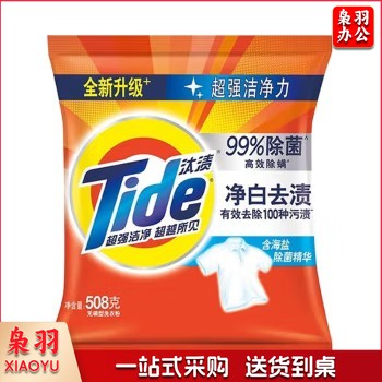 汰渍 TIDE 净白洗衣粉508克 新旧包装随机发货