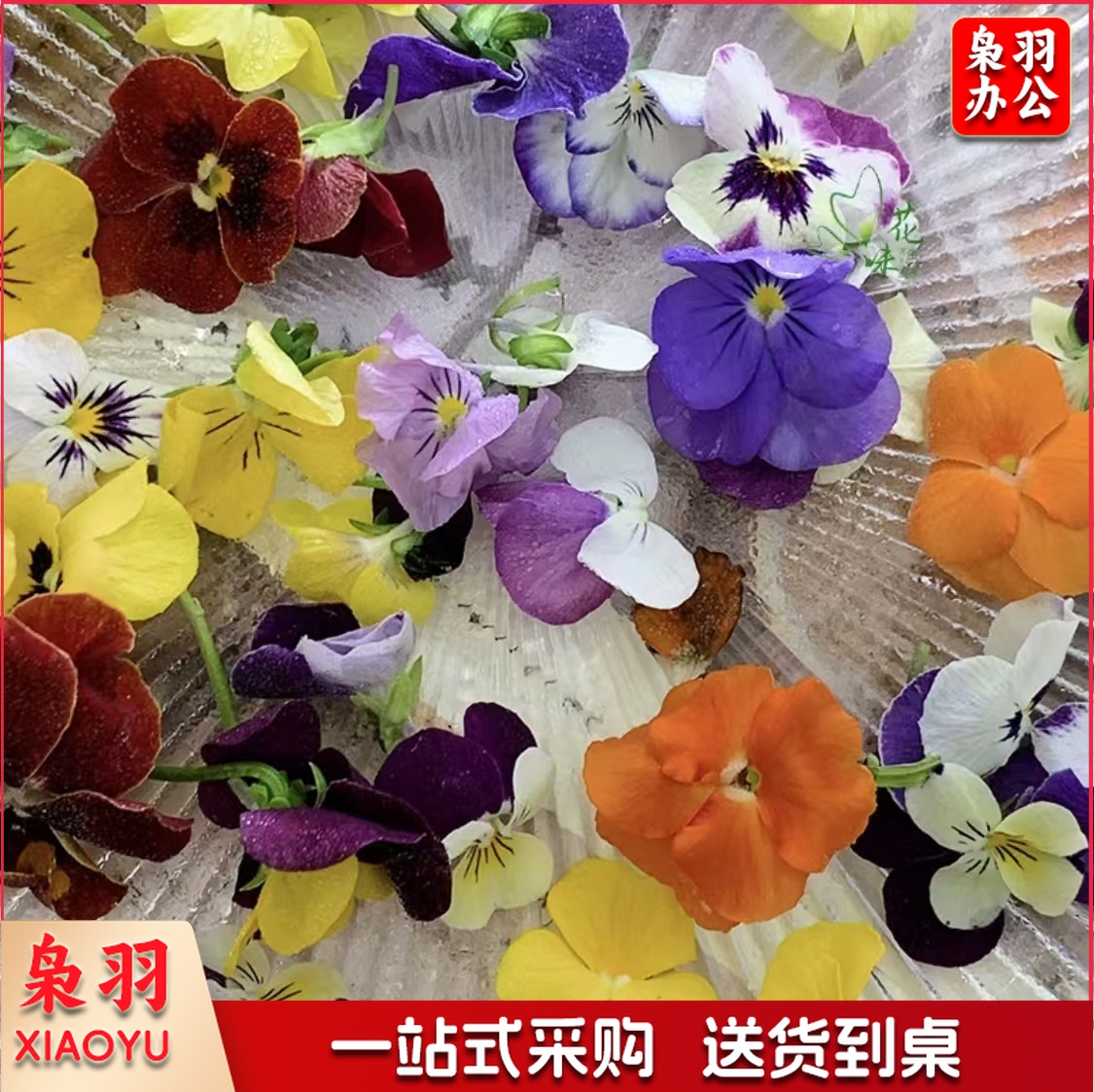 酒店西餐花草摆盘新鲜三色堇鲜花(50朵/包 )可食用