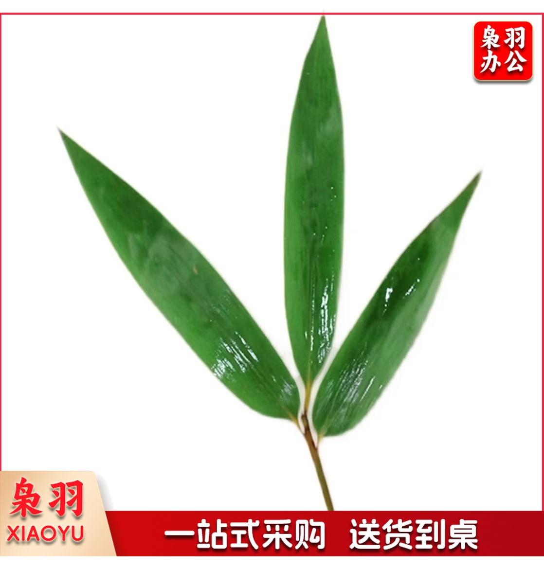 酒店西餐花草摆盘凤尾竹叶(100片/包 )