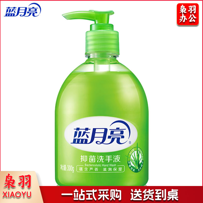 蓝月亮 芦荟抑菌洗手液500g瓶