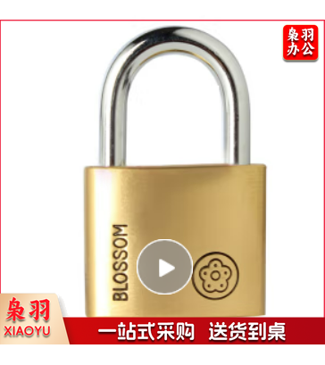 梅花铜挂锁 40MM 