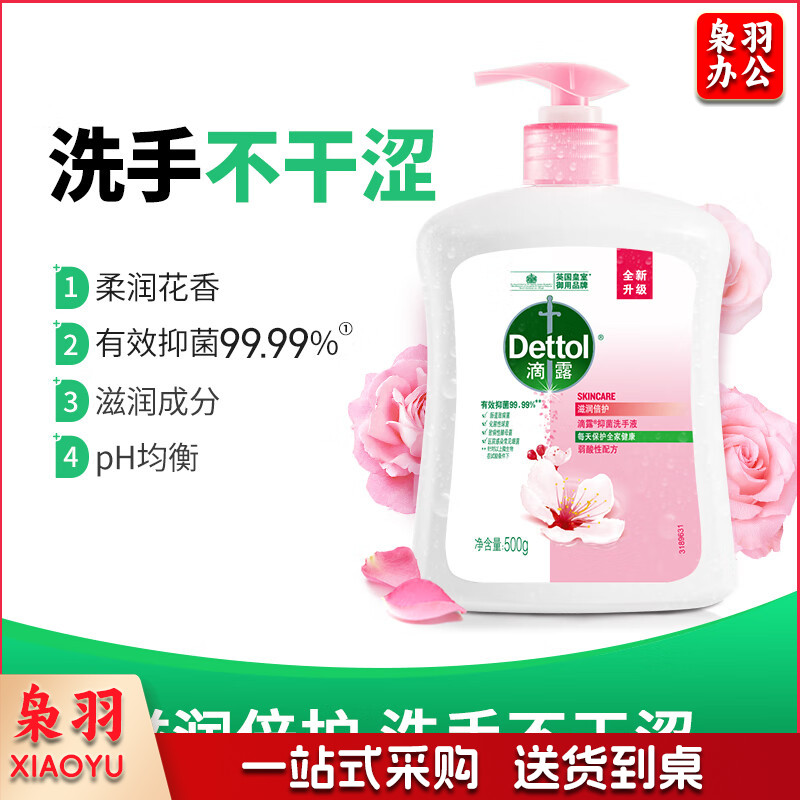 滴露（Dettol） 500g 健康抑菌洗手液滋润倍护