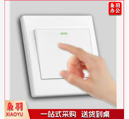 开尔 10A 单联开关