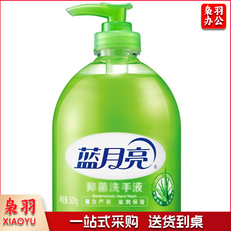 蓝月亮 500ml芦荟抑菌洗手液